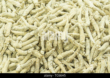 Ein Bündel von der Sonne getrocknet Citi ginseng. Stockfoto