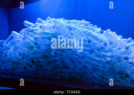 Hunderte von Plastikflaschen in einem Tank an der London Zoo Aquarium, ZSL London Zoo, London, UK Stockfoto