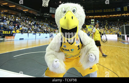 Berlin, Deutschland. 05 Juni, 2019. Basketball: Bundesliga, ALBA Berlin - EWE Baskets Oldenburg, Meisterschaft, Halbfinale, 2. Spieltag. Maskottchen Albatros cheers. Credit: Andreas Gora/dpa/Alamy leben Nachrichten Stockfoto