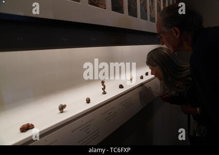 Washington, June 5. 18th Aug, 2019. People visit the exhibition "The Life of Animals in Japanese Art" at the National Gallery of Art in Washington, DC, the United States, on June 5, 2019. The exhibition features more than 300 works from 66 Japanese and 30 American public and private collections. It will last until Aug. 18, 2019. Credit: Liu Jie/Xinhua/Alamy Live News Stockfoto