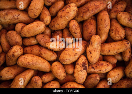 Kulmbach, Deutschland. 01 Juni, 2019. Frische Kartoffeln sind auf dem Marktplatz von Kulmbach bei den wöchentlichen Markt angeboten. Credit: Nicolas Armer/dpa/Alamy leben Nachrichten Stockfoto