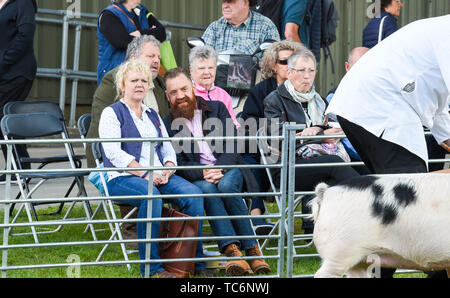 Ardingly UK, 6. Juni 2019 - Massen genießen Sie den ersten Tag der Süden von England Show im Ardingly Showground in Sussex statt. Die jährliche landwirtschaftliche zeigen Highlights die besten in die britische Landwirtschaft und produzieren und zieht Tausende von Besuchern an drei Tagen. Foto: Simon Dack/Alamy leben Nachrichten Stockfoto