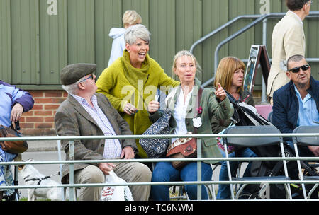 Ardingly UK, 6. Juni 2019 - Massen genießen Sie den ersten Tag der Süden von England Show im Ardingly Showground in Sussex statt. Die jährliche landwirtschaftliche zeigen Highlights die besten in die britische Landwirtschaft und produzieren und zieht Tausende von Besuchern an drei Tagen. Foto: Simon Dack/Alamy leben Nachrichten Stockfoto