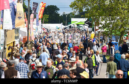 Ardingly UK, 6. Juni 2019 - Massen genießen Sie den ersten Tag der Süden von England Show im Ardingly Showground in Sussex statt. Die jährliche landwirtschaftliche zeigen Highlights die besten in die britische Landwirtschaft und produzieren und zieht Tausende von Besuchern an drei Tagen. Foto: Simon Dack/Alamy leben Nachrichten Stockfoto