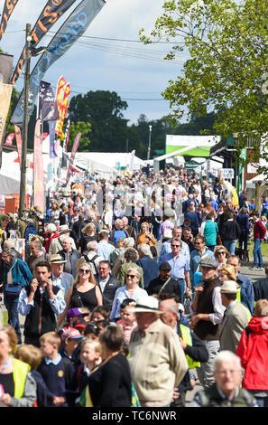 Ardingly UK, 6. Juni 2019 - Massen genießen Sie den ersten Tag der Süden von England Show im Ardingly Showground in Sussex statt. Die jährliche landwirtschaftliche zeigen Highlights die besten in die britische Landwirtschaft und produzieren und zieht Tausende von Besuchern an drei Tagen. Foto: Simon Dack/Alamy leben Nachrichten Stockfoto