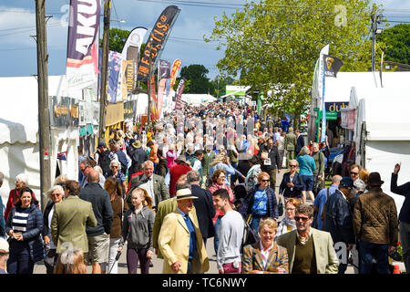 Ardingly UK, 6. Juni 2019 - Massen genießen Sie den ersten Tag der Süden von England Show im Ardingly Showground in Sussex statt. Die jährliche landwirtschaftliche zeigen Highlights die besten in die britische Landwirtschaft und produzieren und zieht Tausende von Besuchern an drei Tagen. Foto: Simon Dack/Alamy leben Nachrichten Stockfoto