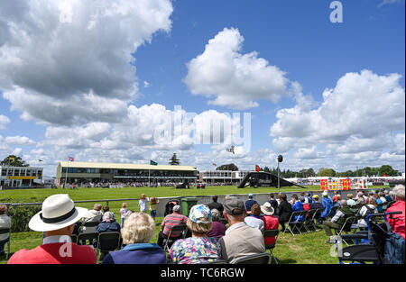 Ardingly UK, 6. Juni 2019 - Massen genießen Sie die Sonne am ersten Tag der Süden von England Show im Ardingly Showground in Sussex statt. Die jährliche landwirtschaftliche zeigen Highlights die besten in die britische Landwirtschaft und produzieren und zieht Tausende von Besuchern an drei Tagen. Foto: Simon Dack/Alamy leben Nachrichten Stockfoto