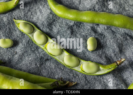 Raw Green Bio Bohnen bereit zu Kochen Stockfoto