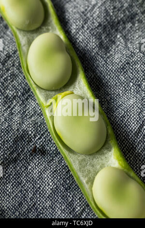 Raw Green Bio Bohnen bereit zu Kochen Stockfoto