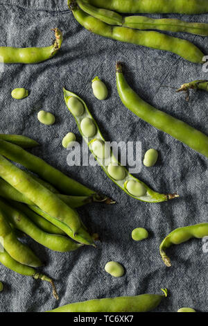 Raw Green Bio Bohnen bereit zu Kochen Stockfoto