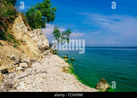 Einzigen Baum auf der felsigen Ufer am Sommer, Tag Stockfoto