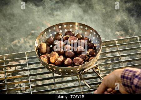 Man rösten einen Batch von frischen Kastanien auf dem Grill über die heißen Kohlen grillen Feuer in der ersten Person POV Stockfoto