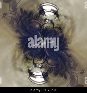 Grafik mit Kaleidoskop design Abstract Stockfoto