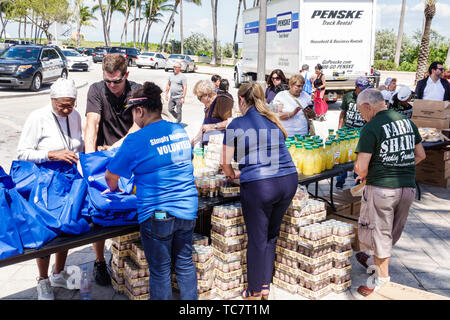 Miami Beach Florida, North Beach, Ocean Terrace, Farm Share Food Giveaway kostenlose Verteilung Bedürftige geringes Einkommen, Freiwillige Freiwillige arbeiten ehrenamtlich Stockfoto