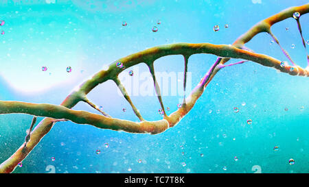 DNA Desoxyribonukleinsäure ist ein thread-wie-Kette von Nukleotiden, die genetischen Anweisungen für das Wachstum verwendet. DNA-Helix. Viren Stockfoto