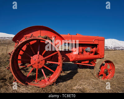 Eine gut erhaltene Oldtimer Traktor in dem Feld vor einer Bergkulisse Stockfoto