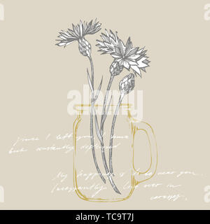 Blaue Kornblume Kraut oder Bachelor- taste Blumenstrauß auf weißem Hintergrund. Satz von Zeichnung Kornblumen, florale Elemente, Hand botanischen gezeichnet Stockfoto