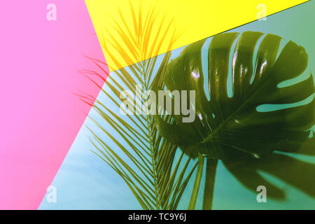 Von tropischen Palmen und monstera Blätter auf farbenfrohen trendigen Hintergrund. Flach Stil. Stockfoto