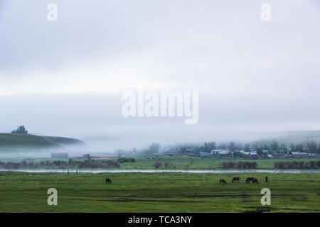 Die pastorale Landschaft der chinesisch-russischen Grenze Stockfoto