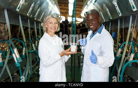 Männliche und weibliche Tierärzte mit Milch Qualität auf Molkerei zufrieden Stockfoto