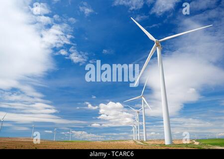 Windmühlen zur Stromerzeugung, Pozuelo de Aragon, Zaragoza, Aragon