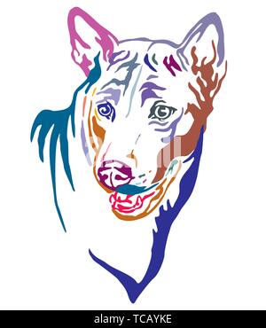 Bunt dekorativ Umrisse Portrait von Thai Ridgeback Dog, Vector Illustration in verschiedenen Farben auf weißem Hintergrund. Bild für Design und Stock Vektor