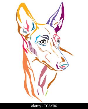 Bunt dekorativ Übersicht Porträt der Cirneco dell'Etna Hunde im Profil suchen, Vector Illustration in verschiedenen Farben auf weißem Hintergrund Stock Vektor