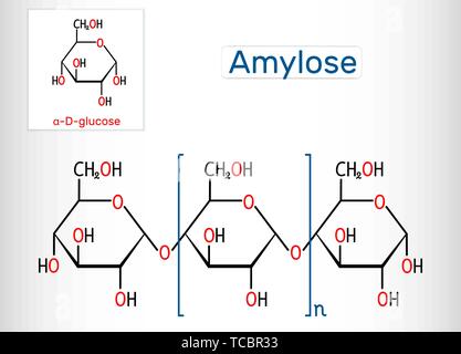 Amylose Molekül. Es ist ein Polysaccharid und eine der beiden Komponenten von Stärke. Strukturelle chemische Formel. Vector Illustration Stock Vektor