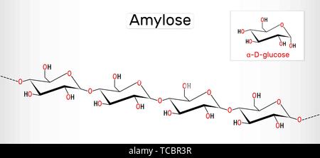 Amylose Molekül. Es ist ein Polysaccharid und eine der beiden Komponenten von Stärke. Strukturelle chemische Formel. Vector Illustration Stock Vektor