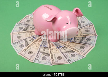 Rosa Sparschwein auf Geld, in der Form eines Kreises auf grünem Hintergrund isoliert Stockfoto