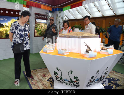 (190606) - Peking, 6. Juni 2019 (Xinhua) - Touristen besuchen Sie die chinesischen Pavillon auf der Internationalen Gartenbauausstellung in Peking in Peking, der Hauptstadt von China, 6. Juni 2019. (Xinhua/Ren Chao) Stockfoto