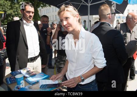 05. Juni 2019, Sachsen, Görlitz: Alice Weidel, Führer der AfD-Fraktion im Bundestag, ist an einem Informationsstand im Wahlkampf ihrer Partei. Am 16. Juni 2019, die zweite Runde der Bürgermeisterwahl findet in der Neiße Stadt nehmen. Foto: Sebastian Kahnert/dpa-Zentralbild/dpa Stockfoto