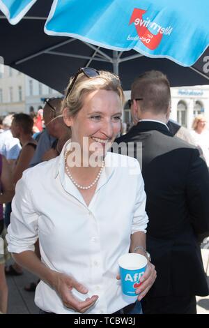 05. Juni 2019, Sachsen, Görlitz: Alice Weidel, Führer der AfD-Fraktion im Bundestag, steht an einem Informationsstand für ihre Partei während einer Wahlkampfveranstaltung. Am 16. Juni 2019, die zweite Runde der Bürgermeisterwahl findet in der Neiße Stadt nehmen. Foto: Sebastian Kahnert/dpa-Zentralbild/dpa Stockfoto