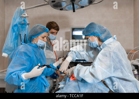 Berufsbildung, die für die Sterilisation. Die Katze auf dem OP-Tisch in einer Tierklinik. Katze in einem Tierarztes, der Gebärmutter und der Eierstöcke Stockfoto