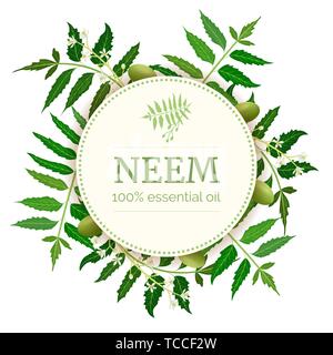 Neem runder Kreis Abzeichen. Blatt Zweig, Blumen und Hülsen. Ayurveda Kraut Vorlage. Für alternative Medizin, Kosmetik, Gesundheit Produkt verwendet, aromath Stock Vektor