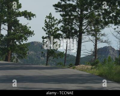 Nadeln Autobahn mit Berge und Felsen im Hintergrund, Custer State Park, South Dakota. Stockfoto