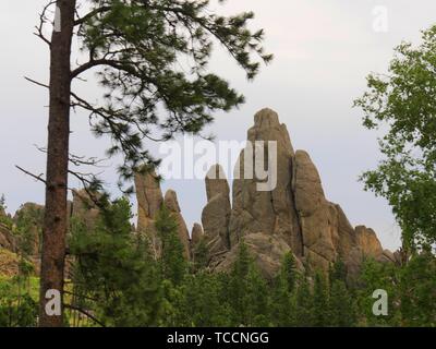 In der breiten Ansicht eines riesigen Granitblock auf das Nadelöhr an Nadeln Highway, Custer County, South Dakota. Stockfoto