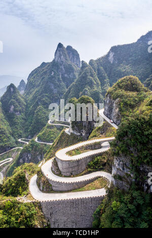 Die kurvenreiche Straße von Tianmen Mountain mit scharfen Felsen und grünen versucht, Zhangjiajie Nationalpark, Hunan, China Stockfoto