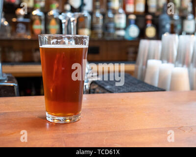Pint Glas Bier am Tresen in der Tageszeit sitzen Stockfoto