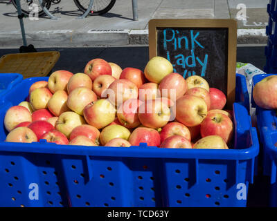 Stapel von pink lady Äpfel in Blau Warenkorb an einem sonnigen Tag am Markt im Freien Stockfoto