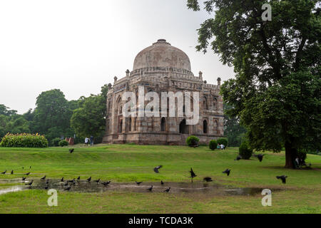 Shisha Gumbad, Lodi Gardens, New Delhi, Indien. Stockfoto