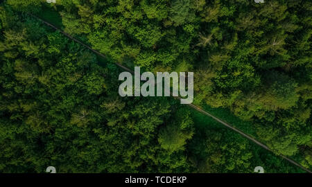 Antenne Aussicht auf leere Straße im grünen Wald. drone erschossen. Stockfoto