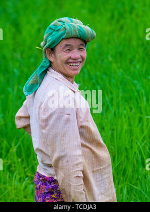 Portrait von burmesischen Bauern auf einem Reisfeld in Shan Staat Myanmar arbeiten Stockfoto