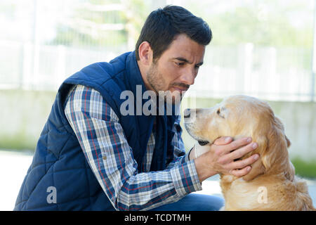 Männliche vet Prüfung eines Golden Retriever Stockfoto