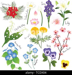 Flower Set 3. Flora Vektor Sammlung. Botanische Illustration. auf weißem Hintergrund. Stock Vektor