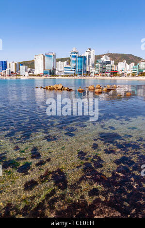 Stadtbild Blick auf die Küstenregion der Busan an Gwangalli Beach, einem beliebten Reiseziel in Busan, Südkorea Stockfoto