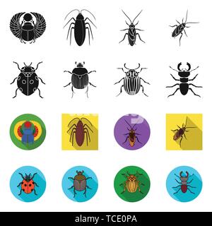 Horn, Marienkäfer, Schädlingsbekämpfung, Schaben, Käfer, Insekten, Käfer, Tier, Halloween, gezeichnet, Tattoo, Natur, botanische, Antenne, Set, Vector, Icon, Illustration, isoliert, Sammlung, Design, Element, Grafik, Zeichen, Vektor, Vektoren, Stock Vektor