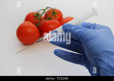 Spritze und Tomaten. Die GVO-Spezialist spritzt Flüssigkeit aus einer Spritze in eine rote Tomate. Genetisch Ernährung Konzept modifiziert. Stockfoto
