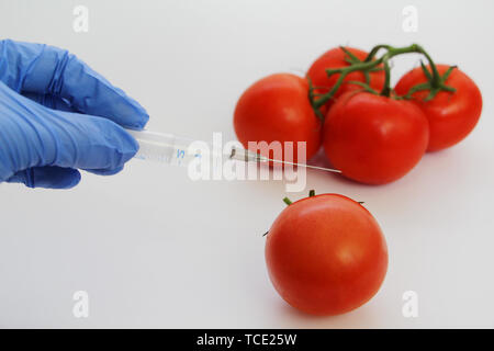 Spritze und Tomaten. Die GVO-Spezialist spritzt Flüssigkeit aus einer Spritze in eine rote Tomate. Genetisch Ernährung Konzept modifiziert. Stockfoto