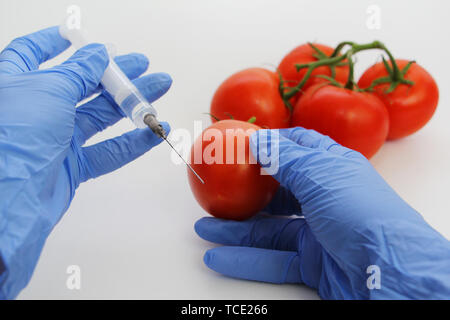 Spritze und Tomaten. Die GVO-Spezialist spritzt Flüssigkeit aus einer Spritze in eine rote Tomate. Genetisch Ernährung Konzept modifiziert. Stockfoto